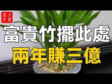 竹 風水 意味